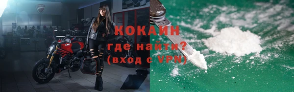 шишки Армянск