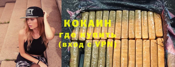 стафф Арсеньев