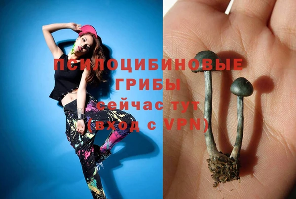 стафф Арсеньев