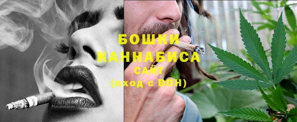 шишки Армянск