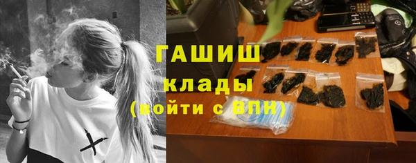 стафф Арсеньев