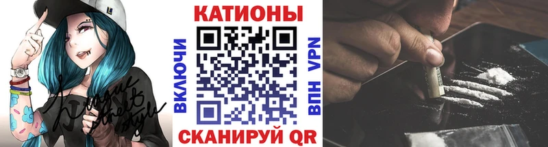 как найти закладки Грайворон МЯУ-МЯУ 4 MMC