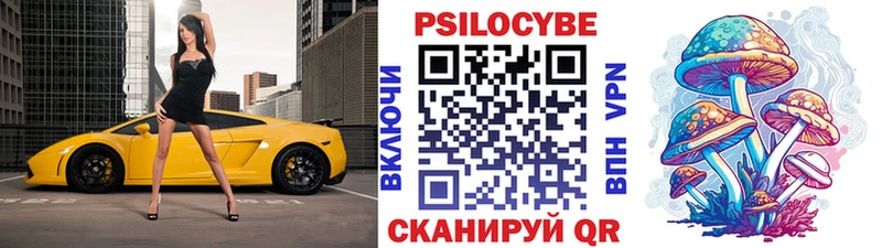 кракен как зайти  Грайворон  Галлюциногенные грибы Cubensis 