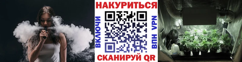 сколько стоит  Грайворон  Бошки марихуана OG Kush 